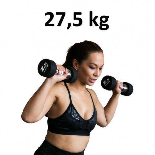 Premium Gummihantel Master Fitness 27,5kg